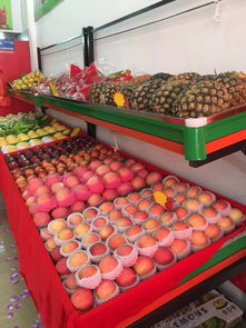 新鲜四季，果香满河东——您的专属水果管家