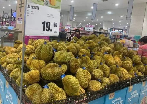 国产榴莲将迎大降价，百元内买整个，网友畅想“10元3斤”时代