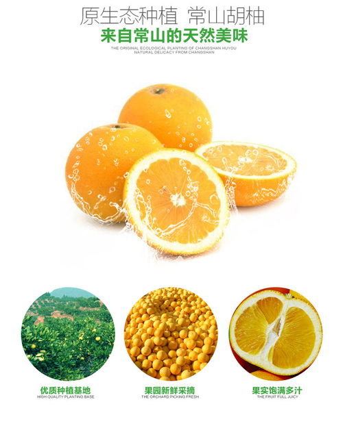 一口鲜美醉深秋 正宗常山胡柚选购指南